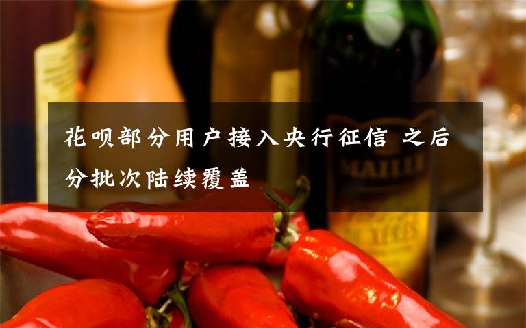 花呗部分用户接入央行征信 之后分批次陆续覆盖