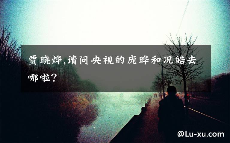 贾晓烨,请问央视的庞晔和况皓去哪啦？