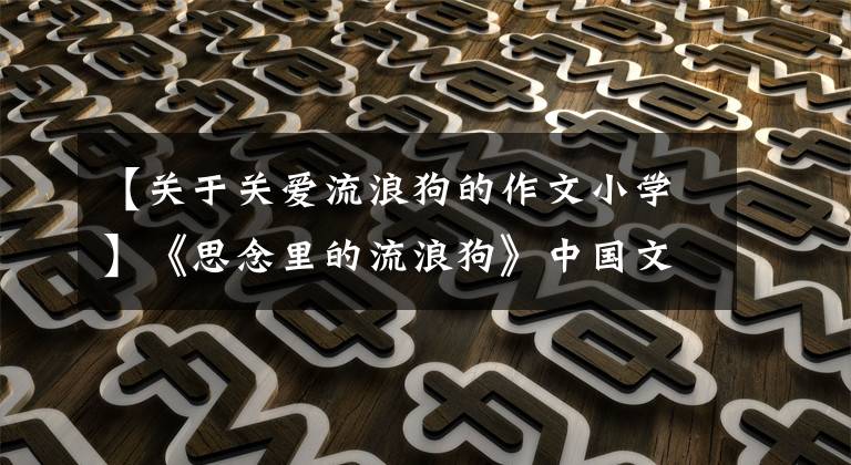 【关于关爱流浪狗的作文小学】《思念里的流浪狗》中国文学论坛真爱无限征文精选作品