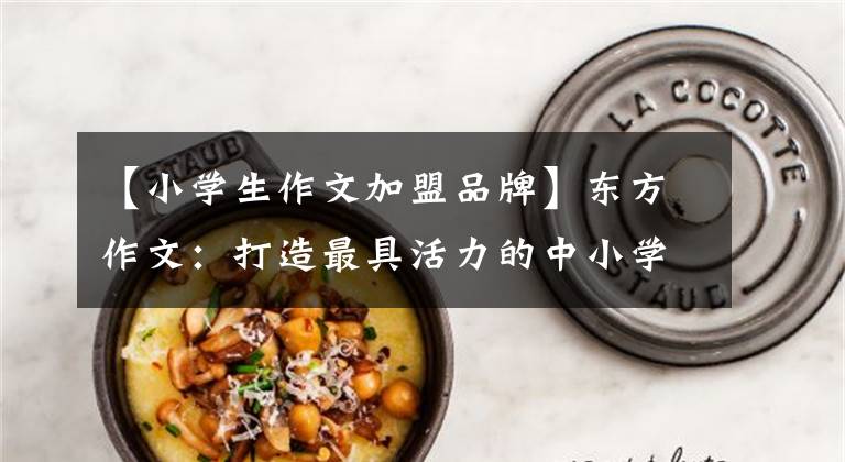 【小学生作文加盟品牌】东方作文:打造最具活力的中小学作文训练品牌