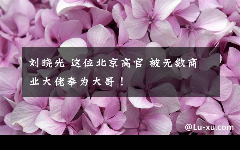 刘晓光 这位北京高官 被无数商业大佬奉为大哥!