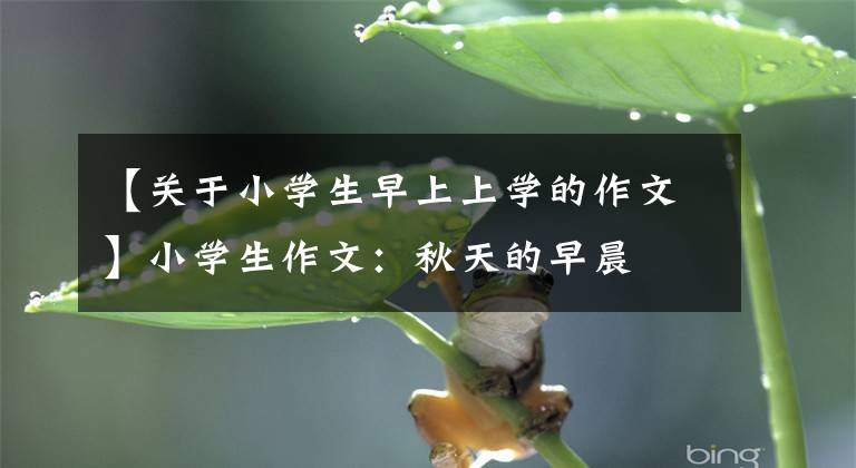 【关于小学生早上上学的作文】小学生作文:秋天的早晨