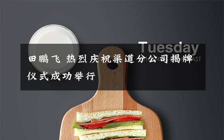 田鹏飞 热烈庆祝渠道分公司揭牌仪式成功举行