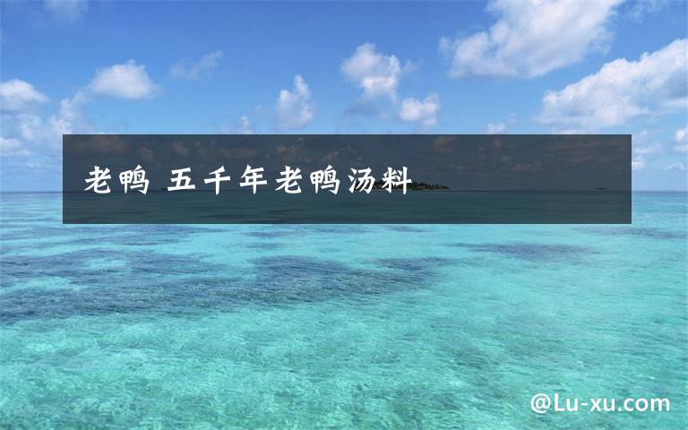 老鸭 五千年老鸭汤料