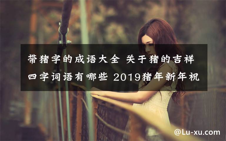带猪字的成语大全 关于猪的吉祥四字词语有哪些 2019猪年新年祝福语4字大全