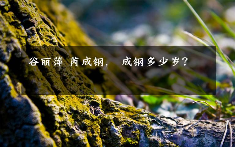 谷丽萍 芮成钢,苪成钢多少岁？