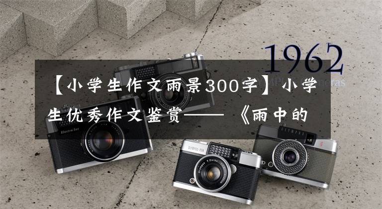 【小学生作文雨景300字】小学生优秀作文鉴赏—— 《雨中的景色》