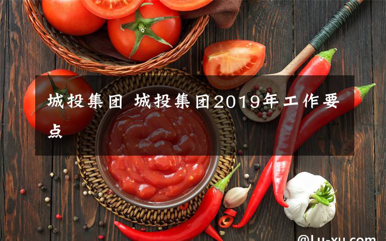 城投集团 城投集团2019年工作要点