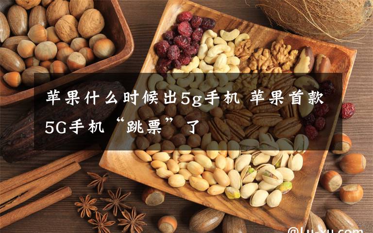 苹果什么时候出5g手机 苹果首款5G手机“跳票”了