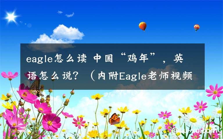 eagle怎么读 中国“鸡年”，英语怎么说？（内附Eagle老师视频）