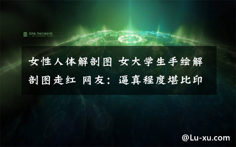 女性人体解剖图 女大学生手绘解剖图走红 网友:逼真程度堪比印刷体