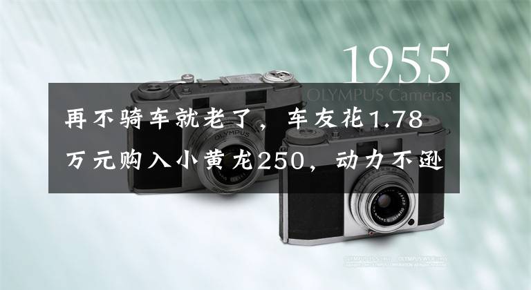 再不骑车就老了,车友花1.78万元购入小黄龙250,动力不逊于GW250
