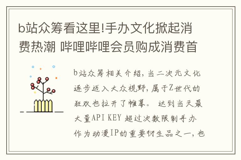 b站众筹看这里!手办文化掀起消费热潮 哔哩哔哩会员购成消费首选
