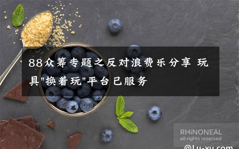 88众筹专题之反对浪费乐分享 玩具"换着玩"平台已服务上万家庭