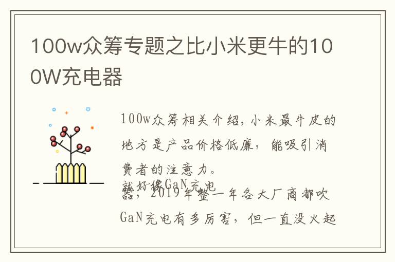 100w众筹专题之比小米更牛的100W充电器