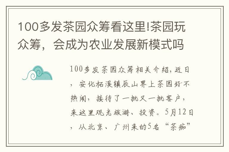 100多发茶园众筹看这里!茶园玩众筹,会成为农业发展新模式吗?