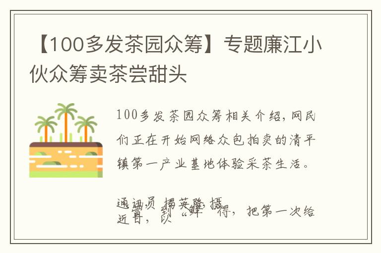 【100多发茶园众筹】专题廉江小伙众筹卖茶尝甜头