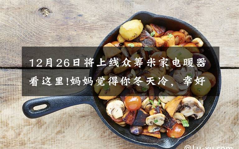 12月26日将上线众筹米家电暖器看这里!妈妈觉得你冬天冷,幸好米家推出智能电暖器