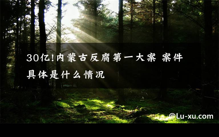 30亿!内蒙古反腐第一大案 案件具体是什么情况