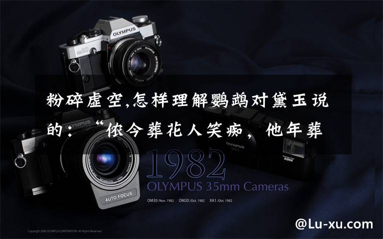粉碎虚空,怎样理解鹦鹉对黛玉说的:“侬今葬花人笑痴,他年葬侬知是谁?”?