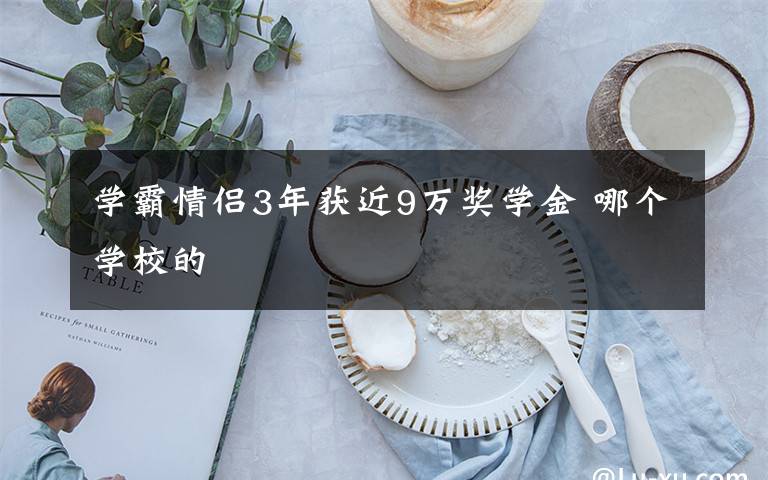 学霸情侣3年获近9万奖学金 哪个学校的