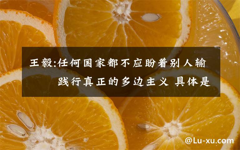 王毅:任何国家都不应盼着别人输   践行真正的多边主义 具体是啥情况?