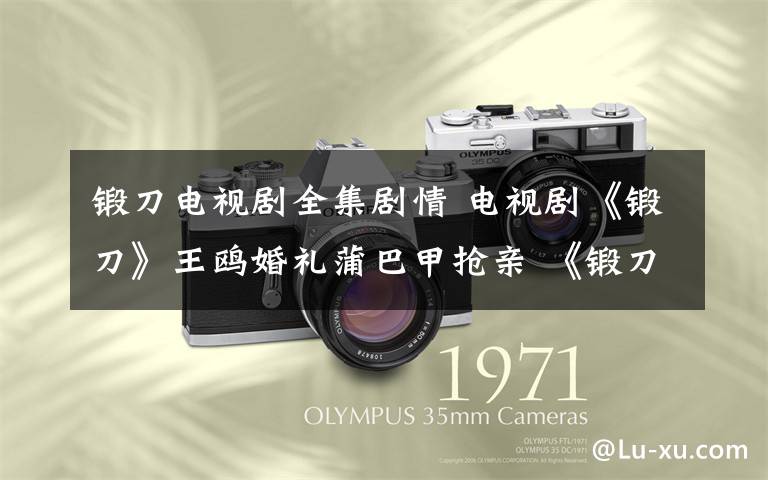 锻刀电视剧全集剧情 电视剧《锻刀》王鸥婚礼蒲巴甲抢亲 《锻刀》大结局及分集剧情
