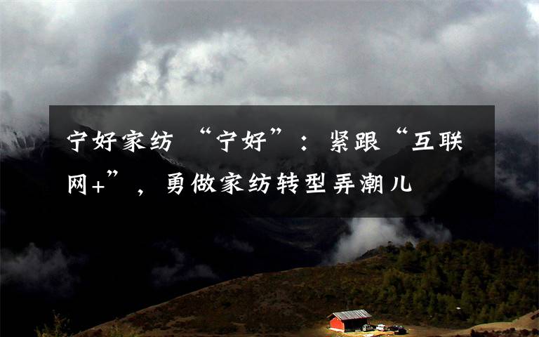 宁好家纺 “宁好”:紧跟“互联网+”,勇做家纺转型弄潮儿