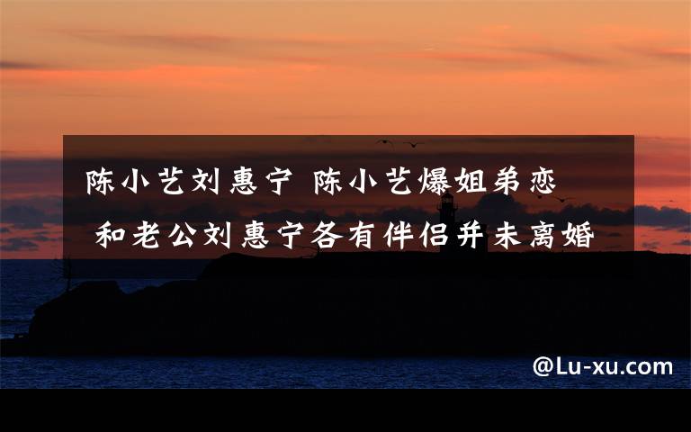 陈小艺刘惠宁 陈小艺爆姐弟恋 和老公刘惠宁各有伴侣并未离婚