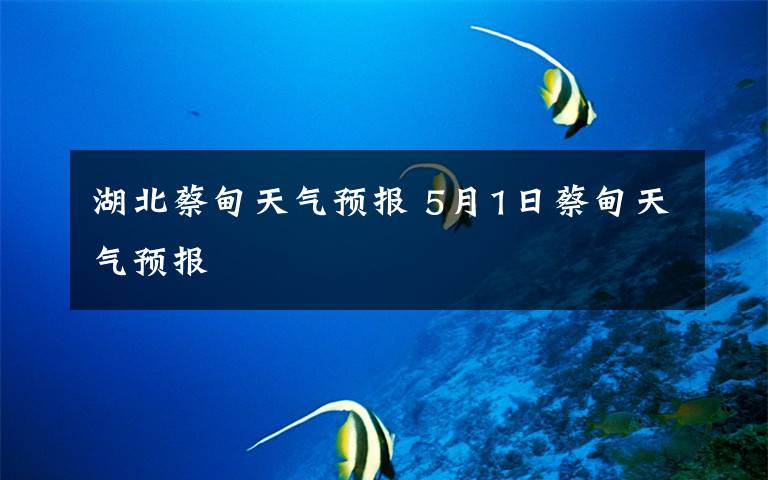 湖北蔡甸天气预报 5月1日蔡甸天气预报