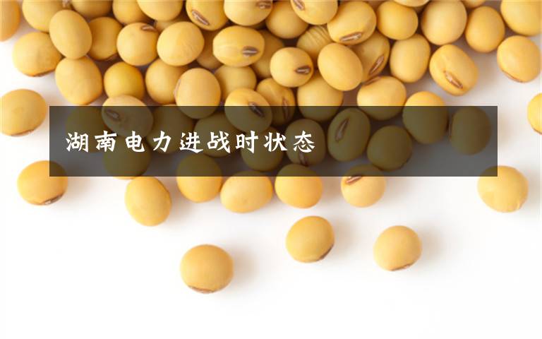 湖南电力进战时状态