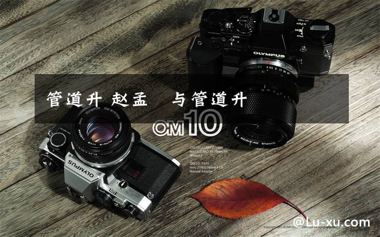 管道升 赵孟頫与管道升