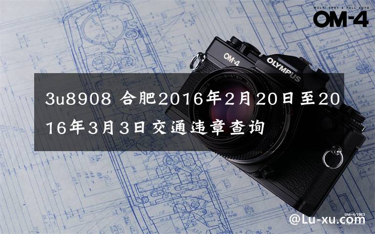 3u8908 合肥2016年2月20日至2016年3月3日交通违章查询