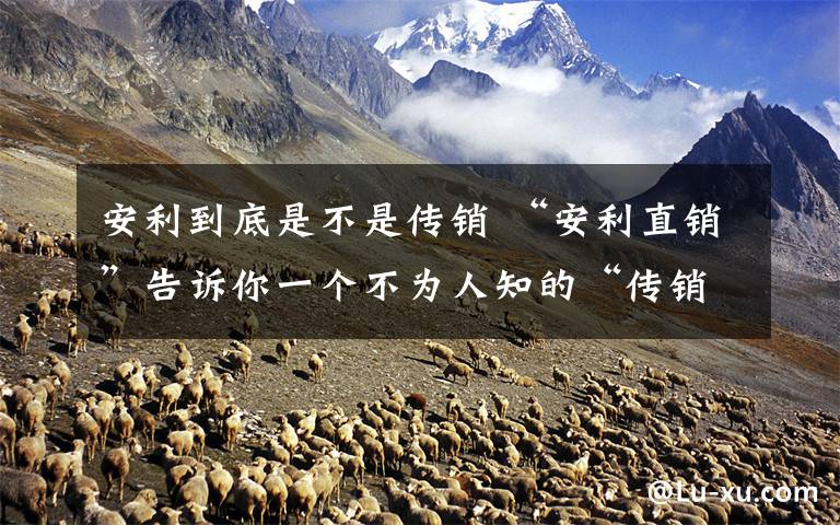 安利到底是不是传销 “安利直销”告诉你一个不为人知的“传销”内幕