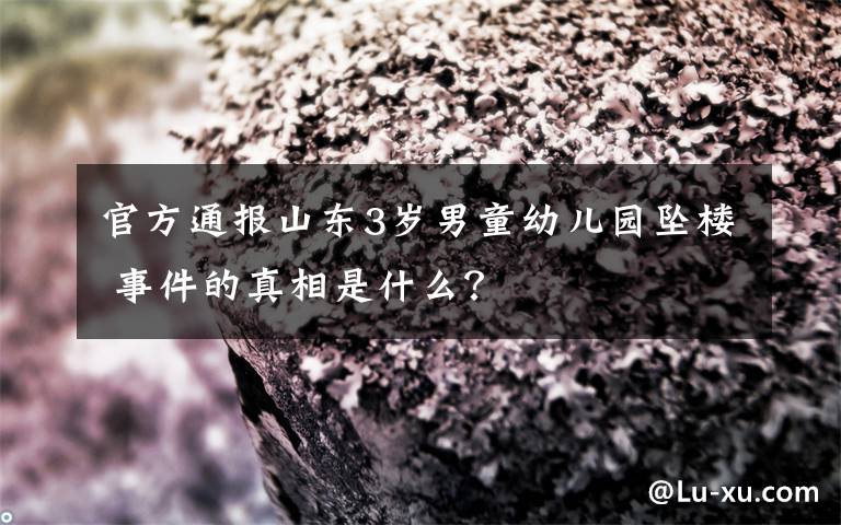 官方通报山东3岁男童幼儿园坠楼 事件的真相是什么?