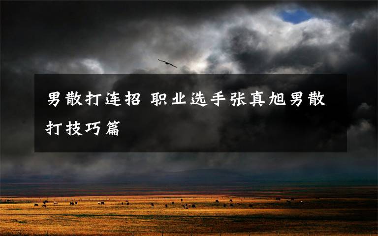 男散打连招 职业选手张真旭男散打技巧篇