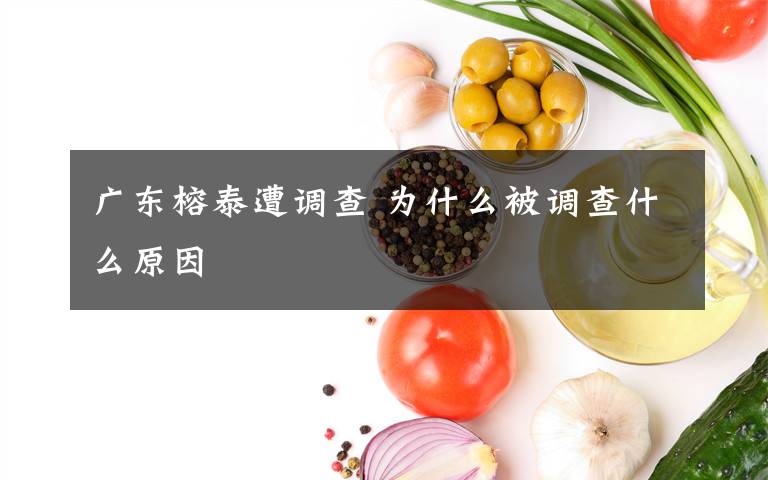 广东榕泰遭调查 为什么被调查什么原因