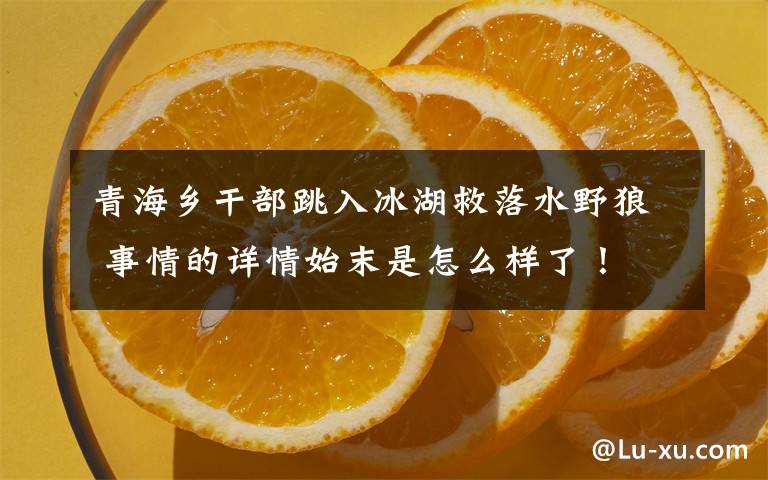 青海乡干部跳入冰湖救落水野狼 事情的详情始末是怎么样了!