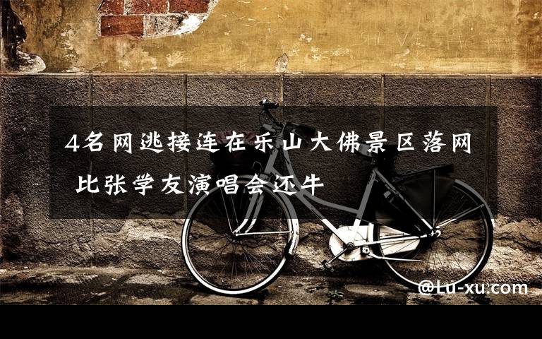 4名网逃接连在乐山大佛景区落网 比张学友演唱会还牛