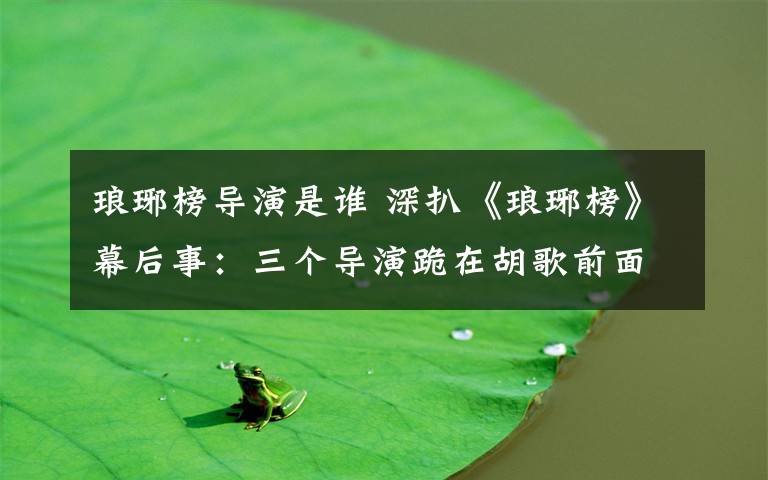 琅琊榜导演是谁 深扒《琅琊榜》幕后事:三个导演跪在胡歌前面