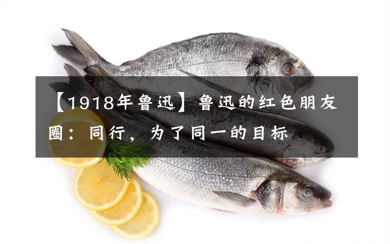 【1918年鲁迅】鲁迅的红色朋友圈:同行,为了同一的目标