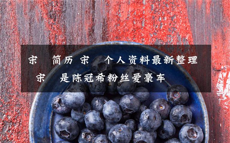 宋喆简历 宋喆个人资料最新整理 宋喆是陈冠希粉丝爱豪车