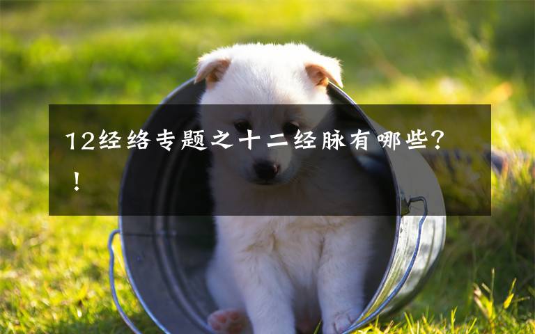 12经络专题之十二经脉有哪些？！
