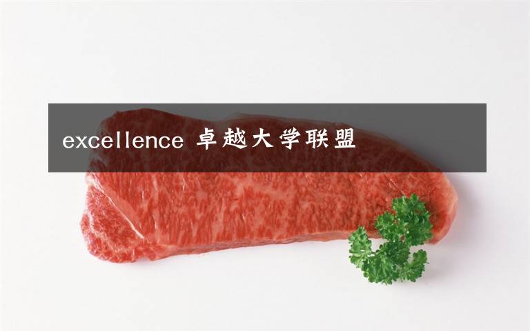 excellence 卓越大学联盟