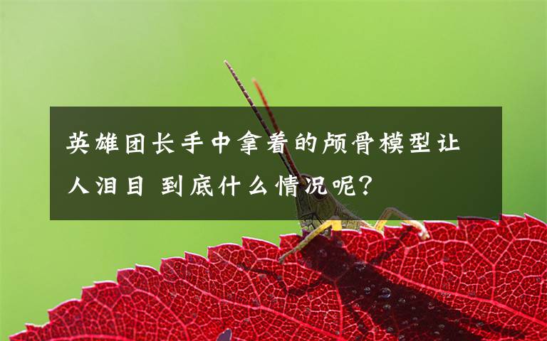 英雄团长手中拿着的颅骨模型让人泪目 到底什么情况呢？