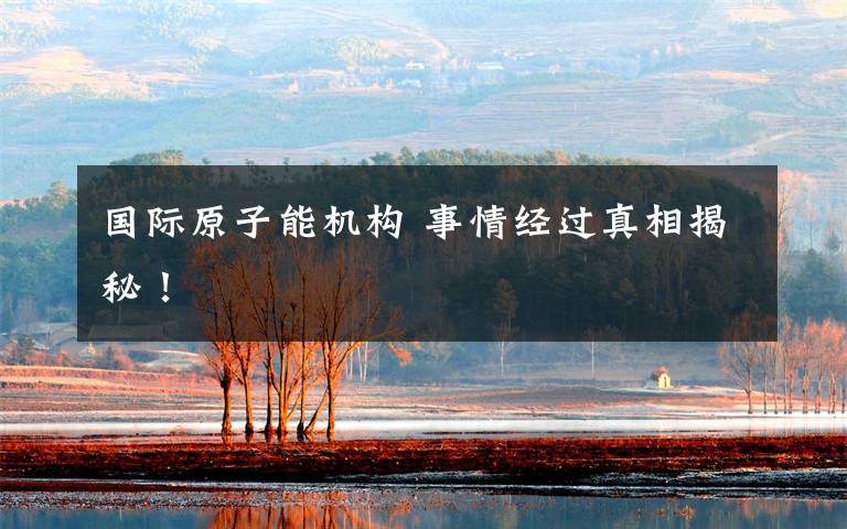 国际原子能机构 事情经过真相揭秘!