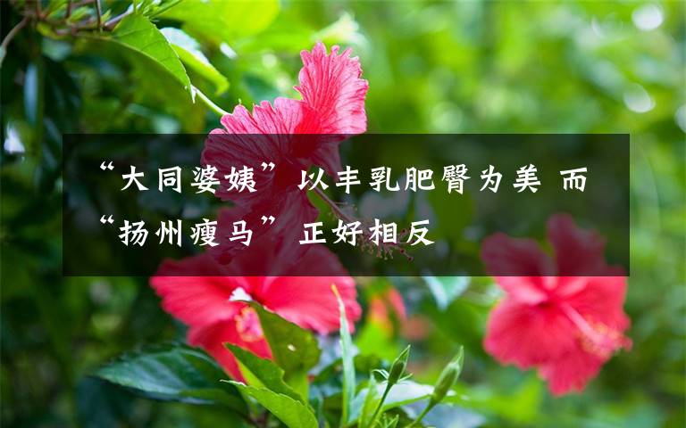 “大同婆姨”以丰乳肥臀为美 而“扬州瘦马”正好相反