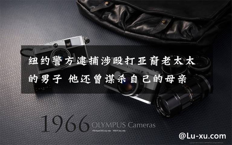 纽约警方逮捕涉殴打亚裔老太太的男子 他还曾谋杀自己的母亲 真相原来是这样!