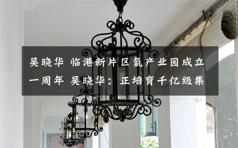 吴晓华 临港新片区氢产业园成立一周年 吴晓华：正培育千亿级集群