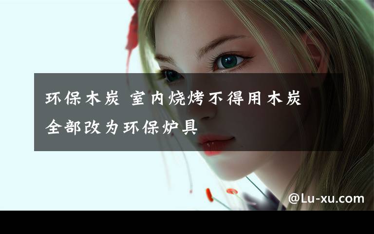 环保木炭 室内烧烤不得用木炭 全部改为环保炉具